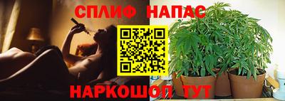 дмт Балашиха